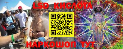 гидра Рязань