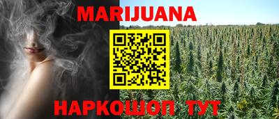 гидра Рязань
