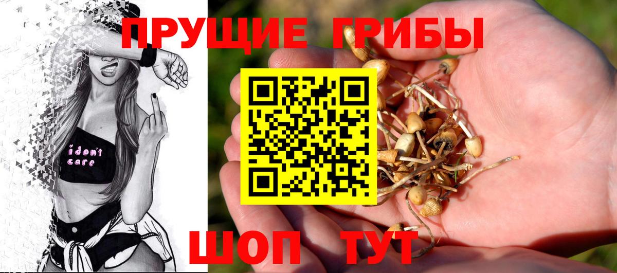 Самара  Псилоцибиновые грибы Psilocybe  Вход с VPN 